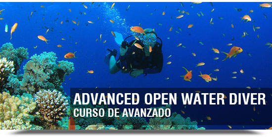 curso de buceo advanced open water diver PADI