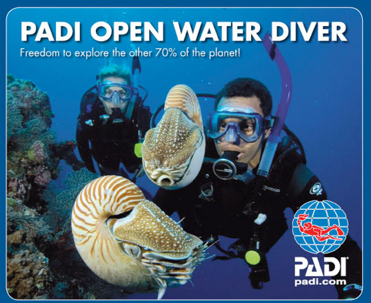 Curso de Buceo PADI Open Water Diver