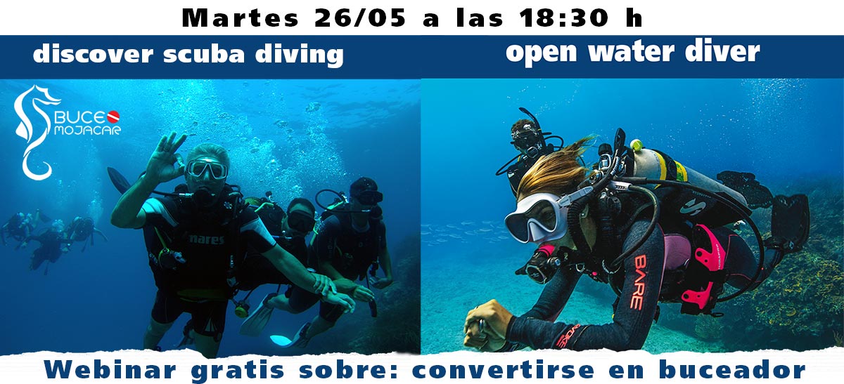 Webinar Convertirse en un Buceador, Open Water Diver, Discover Scuba DIving, Scuba DIver