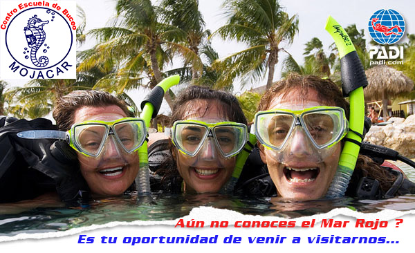 cabecero boletin-hurghada