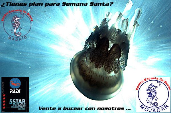 BoletinSemanaSanta