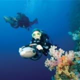 padi adventure diver
