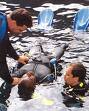 Curso de buceador de Rescate, Rescue Diver PADI