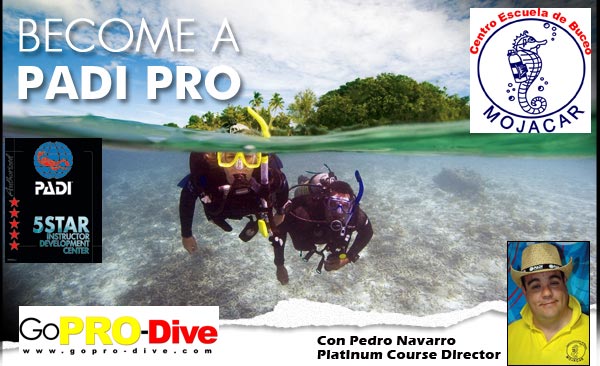 Cabecero Boletin GoPro