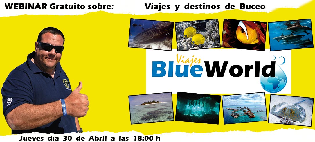 Webinar Cabecero BlueWorld